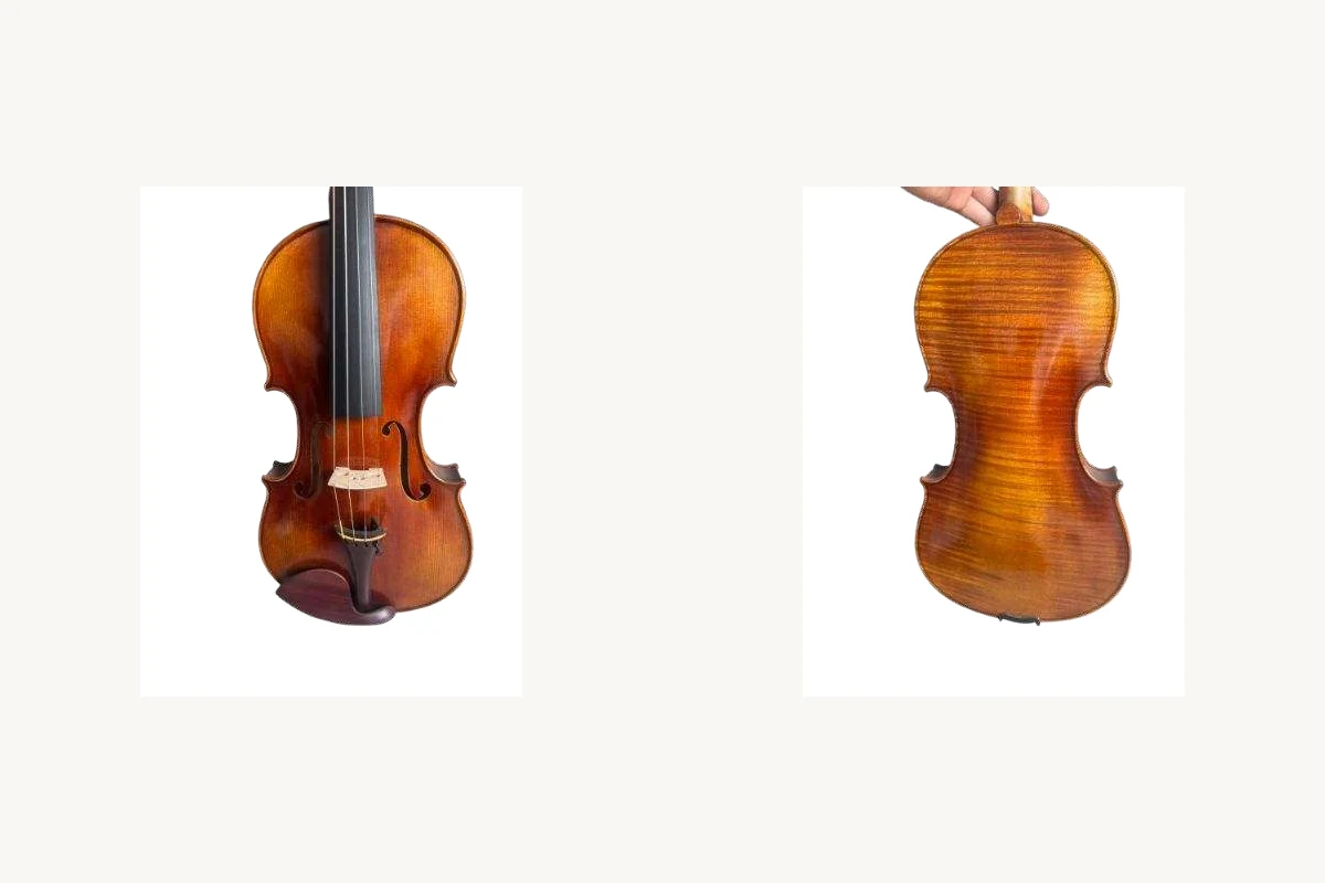 LeGuan VA02 viola catalog photo